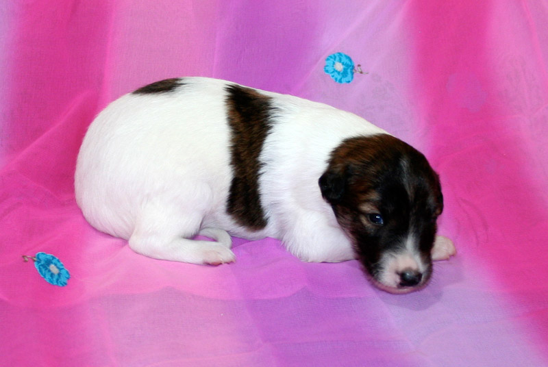 Surf Spots - Girl 1 Turn